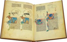 Lapidary of Alfonso X the Wise – Edilan – ms. H. I. 15 – Real Biblioteca del Monasterio (San Lorenzo de El Escorial, Spain)