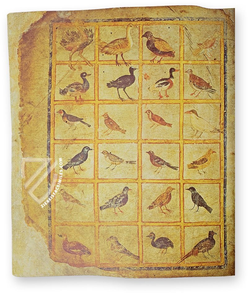 Late Antique medical knowledge (Vienna Dioscorides, Istanbul, Turkey — ca. 512)
