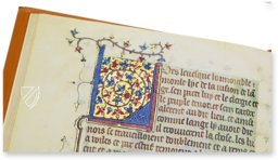 Legende de Saint Voult de Lucques – CM Editores – Pal. lat. 1988 – Biblioteca Apostolica Vaticana (Vatican City, Vatican City State)