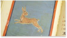 Leiden Aratea – Faksimile Verlag – Ms. Voss. Lat. Q. 79 – Universitaire Bibliotheken Leiden (Leiden, Netherlands)