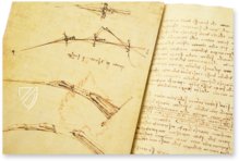 Leonardo da Vinci: Codex on the Flight of Birds – Collezione Apocrifa Da Vinci – Biblioteca Reale di Torino (Turin, Italy)