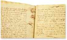 Leonardo da Vinci: Codex on the Flight of Birds – Collezione Apocrifa Da Vinci – Biblioteca Reale di Torino (Turin, Italy)