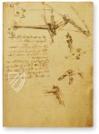 Leonardo da Vinci: Codex on the Flight of Birds – Collezione Apocrifa Da Vinci – Biblioteca Reale di Torino (Turin, Italy)