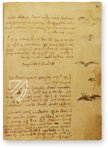 Leonardo da Vinci: Codex on the Flight of Birds – Collezione Apocrifa Da Vinci – Biblioteca Reale di Torino (Turin, Italy)