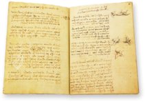 Leonardo da Vinci: Codex on the Flight of Birds – Collezione Apocrifa Da Vinci – Ms Varia 95 – Biblioteca Reale di Torino (Turin, Italy)