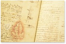 Leonardo da Vinci: Codex on the Flight of Birds – Collezione Apocrifa Da Vinci – Ms Varia 95 – Biblioteca Reale di Torino (Turin, Italy)
