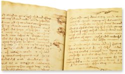 Leonardo da Vinci: Codex on the Flight of Birds – Collezione Apocrifa Da Vinci – Ms Varia 95 – Biblioteca Reale di Torino (Turin, Italy)