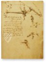 Leonardo da Vinci: Codex on the Flight of Birds – Collezione Apocrifa Da Vinci – Ms Varia 95 – Biblioteca Reale di Torino (Turin, Italy)