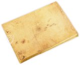 Leonardo da Vinci: Codex on the Flight of Birds – Collezione Apocrifa Da Vinci – Ms Varia 95 – Biblioteca Reale di Torino (Turin, Italy)