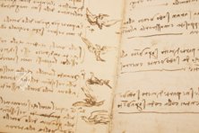 Leonardo da Vinci: Codex on the Flight of Birds – Giunti Editore – Biblioteca Reale di Torino (Turin, Italy)