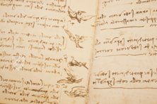 Leonardo da Vinci: Codex on the Flight of Birds – Giunti Editore – Ms Varia 95 – Biblioteca Reale di Torino (Turin, Italy)