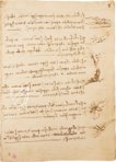 Leonardo da Vinci: Codex on the Flight of Birds – Giunti Editore – Ms Varia 95 – Biblioteca Reale di Torino (Turin, Italy)