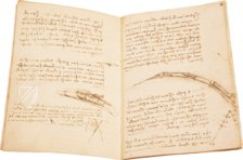 Leonardo da Vinci: Codex on the Flight of Birds – Giunti Editore – Ms Varia 95 – Biblioteca Reale di Torino (Turin, Italy)