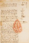 Leonardo da Vinci: Codex on the Flight of Birds – Giunti Editore – Ms Varia 95 – Biblioteca Reale di Torino (Turin, Italy)