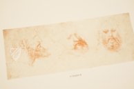 Leonardo da Vinci - Drawings from the Biblioteca Reale in Turin – Giunti Editore – Biblioteca Reale di Torino (Turin, Italy)