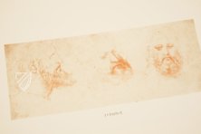 Leonardo da Vinci - Drawings from the Biblioteca Reale in Turin – Giunti Editore – Biblioteca Reale di Torino (Turin, Italy)
