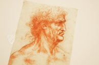 Leonardo da Vinci - Drawings from the Biblioteca Reale in Turin – Giunti Editore – Biblioteca Reale di Torino (Turin, Italy)