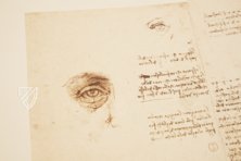 Leonardo da Vinci - Drawings from the Biblioteca Reale in Turin – Giunti Editore – Biblioteca Reale di Torino (Turin, Italy)