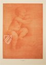 Leonardo da Vinci - Drawings from the Biblioteca Reale in Turin – Giunti Editore – Biblioteca Reale di Torino (Turin, Italy)