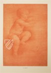 Leonardo da Vinci - Drawings from the Biblioteca Reale in Turin – Giunti Editore – Biblioteca Reale di Torino (Turin, Italy)