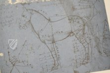 Leonardo da Vinci: Horses and Other Animals – Johnson Reprint – Royal Library at Windsor Castle (Windsor, United Kingdom)