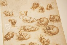 Leonardo da Vinci: Horses and Other Animals – Johnson Reprint – Royal Library at Windsor Castle (Windsor, United Kingdom)