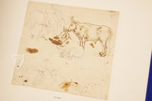 Leonardo da Vinci: Horses and Other Animals – Johnson Reprint – Royal Library at Windsor Castle (Windsor, United Kingdom)