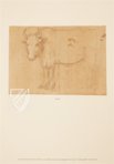 Leonardo da Vinci: Horses and Other Animals – Johnson Reprint – Royal Library at Windsor Castle (Windsor, United Kingdom)