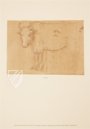 Leonardo da Vinci: Horses and Other Animals – Johnson Reprint – Royal Library at Windsor Castle (Windsor, United Kingdom)