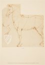 Leonardo da Vinci: Horses and Other Animals – Johnson Reprint – Royal Library at Windsor Castle (Windsor, United Kingdom)