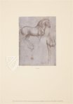 Leonardo da Vinci: Horses and Other Animals – Johnson Reprint – Royal Library at Windsor Castle (Windsor, United Kingdom)