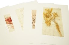 Leonardo da Vinci: Landscapes, Plants, and Water Studies – Belser Verlag – Royal Library at Windsor Castle (Windsor, United Kingdom)