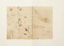 Leonardo da Vinci: Landscapes, Plants, and Water Studies – Belser Verlag – Royal Library at Windsor Castle (Windsor, United Kingdom)