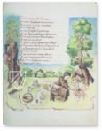 Les Amours de Réné d'Anjou – AyN Ediciones – Fr.Q.XIV.1 – National Library of Russia (St. Petersburg, Russia)