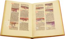 Liber de natura rerum - Codex C-67 – C-67 – Biblioteca Universitaria de Granada (Granada, Spain) Facsimile Edition