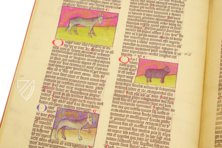 Liber de natura rerum - Codex C-67 – C-67 – Biblioteca Universitaria de Granada (Granada, Spain) Facsimile Edition