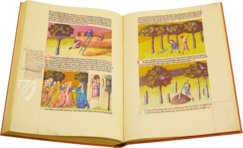 Liber de natura rerum - Codex C-67 – Universidad de Granada – C-67 – Biblioteca de la Universidad de Granada (Granada, Spain)