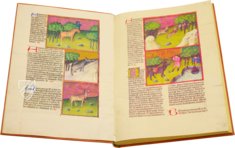 Liber de natura rerum - Codex C-67 – Universidad de Granada – C-67 – Biblioteca de la Universidad de Granada (Granada, Spain)