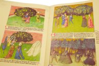 Liber de natura rerum - Codex C-67 – Universidad de Granada – C-67 – Biblioteca de la Universidad de Granada (Granada, Spain)