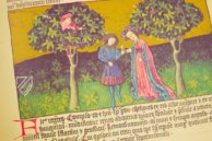 Liber de natura rerum - Codex C-67 – Universidad de Granada – C-67 – Biblioteca de la Universidad de Granada (Granada, Spain)