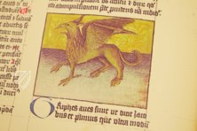 Liber de natura rerum - Codex C-67 – Universidad de Granada – C-67 – Biblioteca de la Universidad de Granada (Granada, Spain)