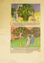 Liber de natura rerum - Codex C-67 – Universidad de Granada – C-67 – Biblioteca Universitaria de Granada (Granada, Spain)