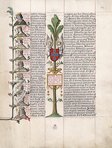 Liber Genealogiae Regum Hispaniae – Scriptorium – Ms. Vit. 19-2 – Biblioteca Nacional de España (Madrid, Spain)