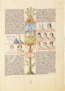 Liber Genealogiae Regum Hispaniae – Scriptorium – Ms. Vit. 19-2 – Biblioteca Nacional de España (Madrid, Spain) Liber Genealogiae Regum Hispaniae – Scriptorium – Ms. Vit. 19-2 – Biblioteca Nacional de España (Madrid, Spain)