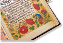 Liber Horarum by Gerard David – MS Vitrinas 12 – Real Biblioteca del Monasterio (San Lorenzo de El Escorial, Spain) Facsimile Edition