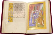 Liber Horarum Rothomagensis – CM Editores – Ms. 851 – Biblioteca de la Abadía de Montserrat (Montserrat, Spain)
