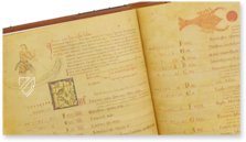 Liber Magistri – Tip.Le.Co – Cod. 65 – Archivio e Biblioteca Capitolare della Cattedrale (Piacenza, Italy)