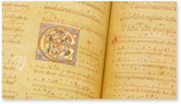 Liber Magistri – Tip.Le.Co – Cod. 65 – Archivio e Biblioteca Capitolare della Cattedrale (Piacenza, Italy)