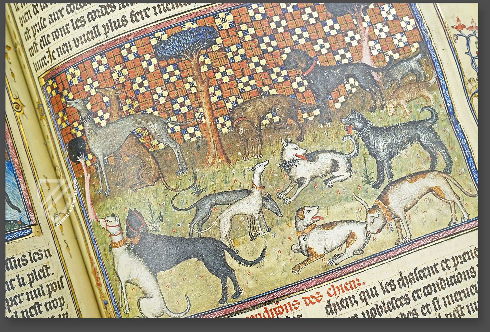 File:Gaston Phébus, Livre de la chasse. 67r.jpg - Wikimedia Commons