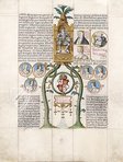 Libro de la Genealogia de los Reyes de Espana (Parchment Facsimile)